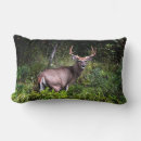 Recherche de buck coussins Animal