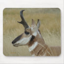 Search for hunting mousepads Outdoors