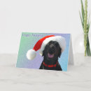 Search for black labrador christmas cards Happy