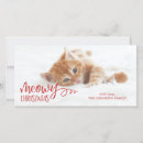 Search for cute kitten christmas cards Script