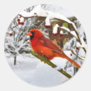 Search for red cardinal stickers Animals