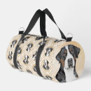 Search for greater Greater swiss mountain dog