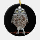 Search for owl drawing ornaments Bird