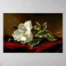 Search for red velvet posters Flower