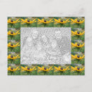 Search for black eyed susans postcards Yellow