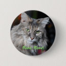 Search for coon buttons Animal