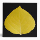 Search for aspen binders Autumn