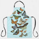 Search for vector butterfly kitchen dining Colourful