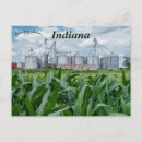 Recherche de cornfield cartes postales Agriculture