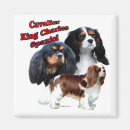 Recherche de chienchien magnets Canin