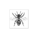 Search for insect rubber stamps Pretty