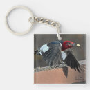 Search for woodpecker keychains Birds