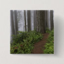 Search for old growth forest accessories California