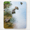 Search for duck mousepads Feathers