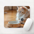 Search for ginger cat electronics Feline