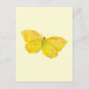 Search for brimstone postcards Wings