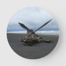 Search for driftwood clocks Coast