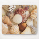 Search for seashell mousepads Coast