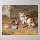 Search for kitty posters Kitties