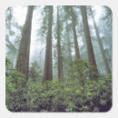 Search for california state parks stickers Redwood national park