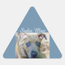 Search for pit stickers Bully breed