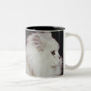Search for cat background mugs Studio shot