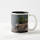 Search for washington state mugs Ocean
