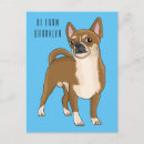 Search for chihuahua illustration postcards Dog