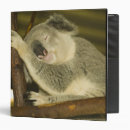Search for queensland binders Oceania