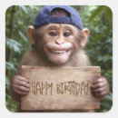 Search for chimp monkey stickers Chimpanzee