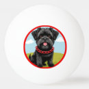 Search for red ping pong balls Animal