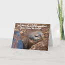 Search for tortoise birthday cards Galapagos