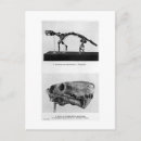 Recherche de triassique posters Paléontologie