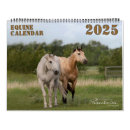 Recherche de chevaux de deux calendriers Photographie