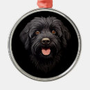 Search for labradoodle ornaments Animals