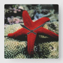 Recherche de poisson de mer horloges Nautique