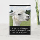 Search for llama joke cards Farm