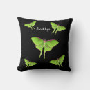 Search for moth pillows Insect
