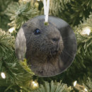 Recherche de cailloux ornements Noël