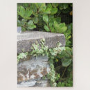 Recherche de coin puzzles Extérieur