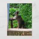 Search for feeders postcards Animals