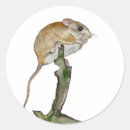 Search for cute mice stickers Nature