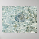 Search for turks and caicos art Sea
