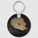Search for geckos keychains Leopard