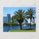 Search for orlando postcards Palm trees