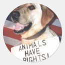Search for animal rights stickers Pets
