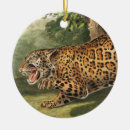 Search for jaguar ornaments Leopard
