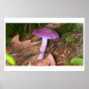 Recherche de champignon art Fleur