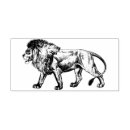 Search for lion rubber stamps Big cat