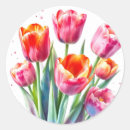 Search for white tulips stickers Flowers